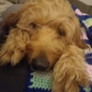 Meet your Posher, Annette